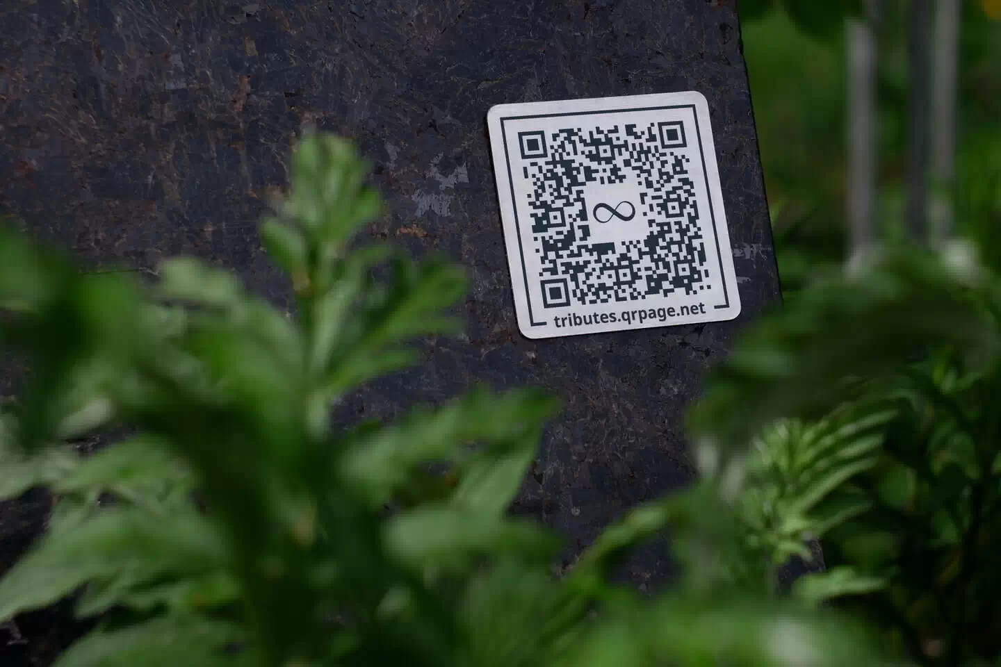 QR-код на вертикальному надгробному камені серед листя, із написом tributes.qrpage.net